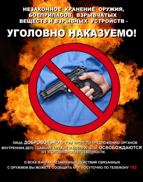 Памятка о мерах ответственности, предусмотренных за незаконное хранение оружия, боеприпасов, взрывчатых веществ и взрывных устройств
