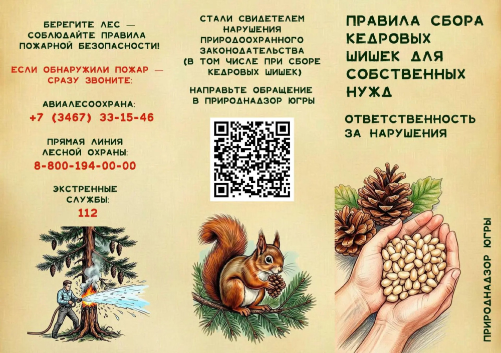 Важная информация по безопасности в лесах и на дорогах 