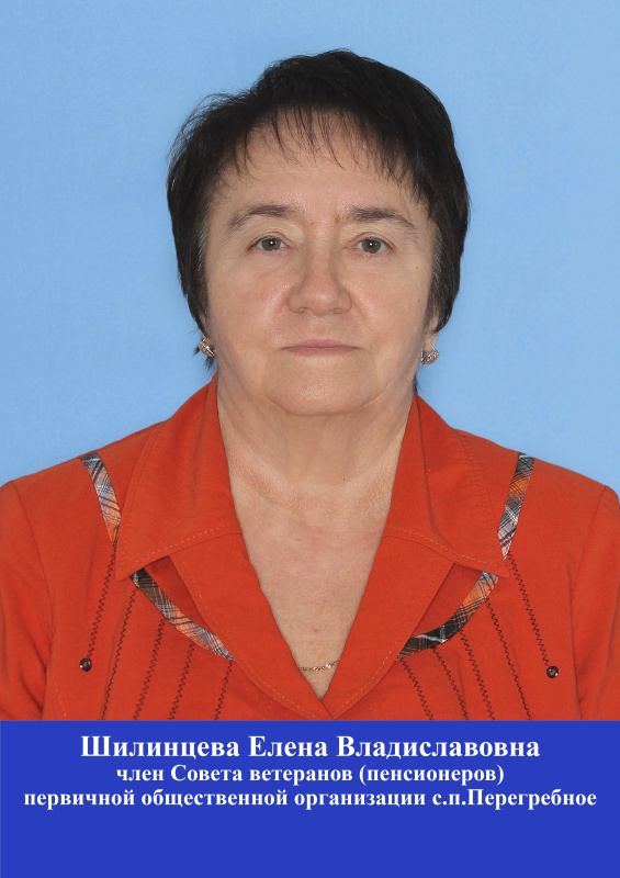 Шилинцева Елена Владиславовна